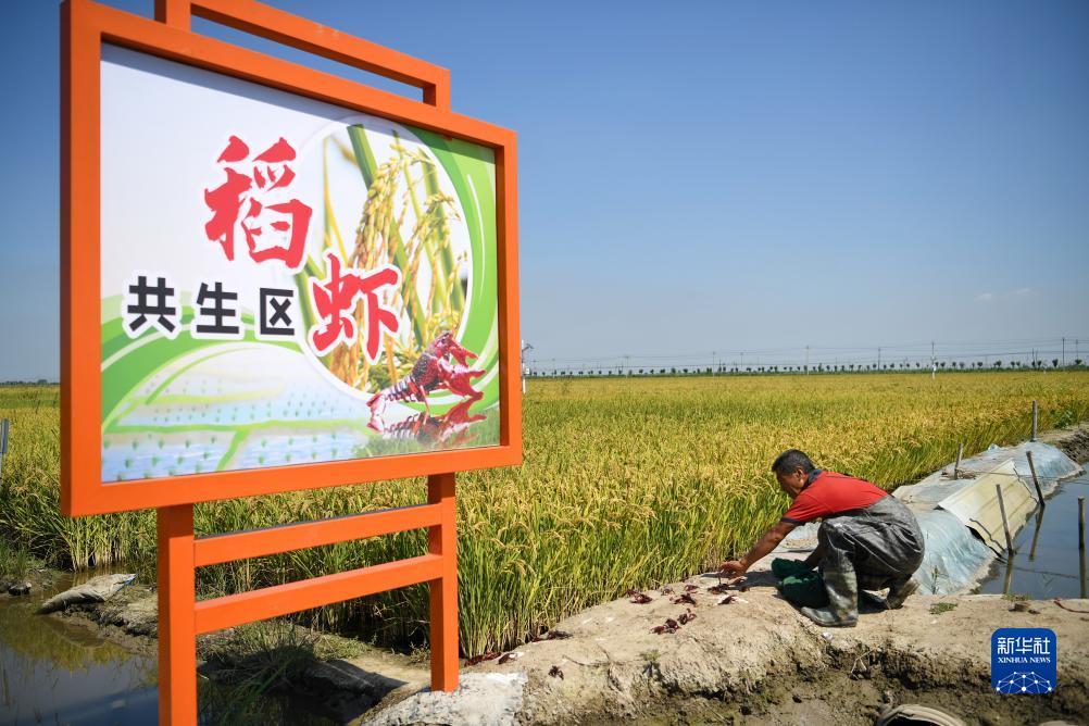 巴黎人线上游艺